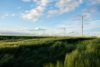net zero or Growth - Environement report - BuildUp