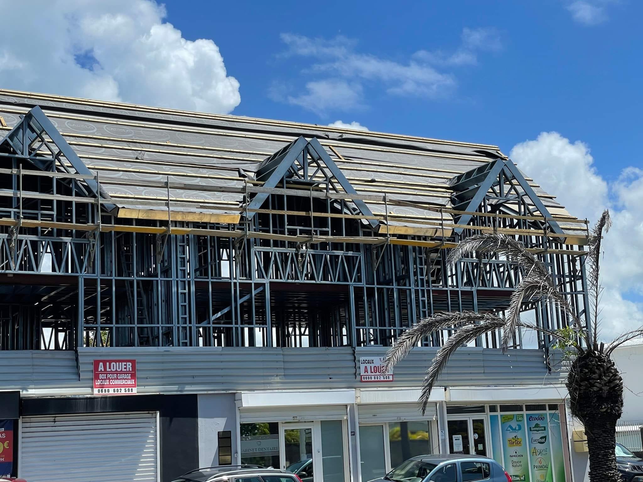 Steel frame building